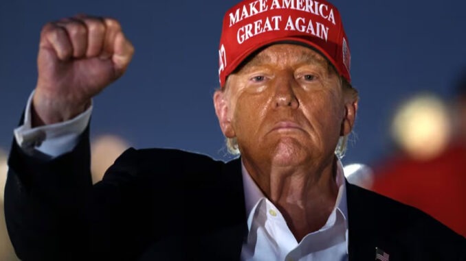 Donald Trump raising his fist and wearing a stupid red hat